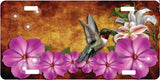 Hummingbird License Plate