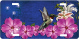 Hummingbird License Plate