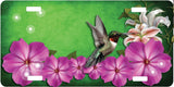 Hummingbird License Plate