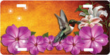 Hummingbird License Plate