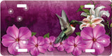 Hummingbird License Plate