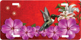 Hummingbird License Plate