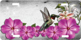 Hummingbird License Plate