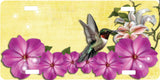 Hummingbird License Plate